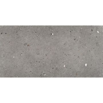 Provenza Ego Grigio Scuro 60x120 cm