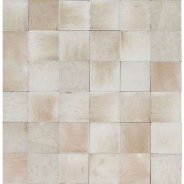 Ragno Gleeze Beige 10x10 cm R8GL